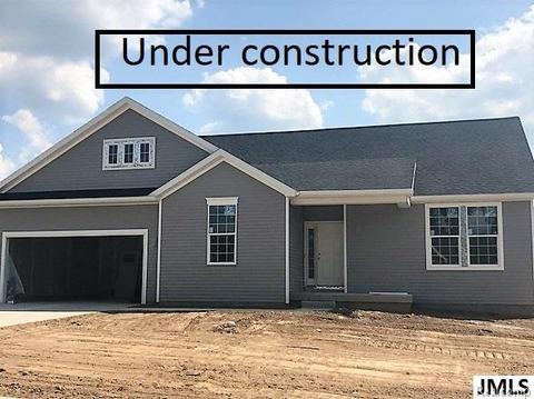 843 Meadows Dr, Jackson, MI 49203 photo 1