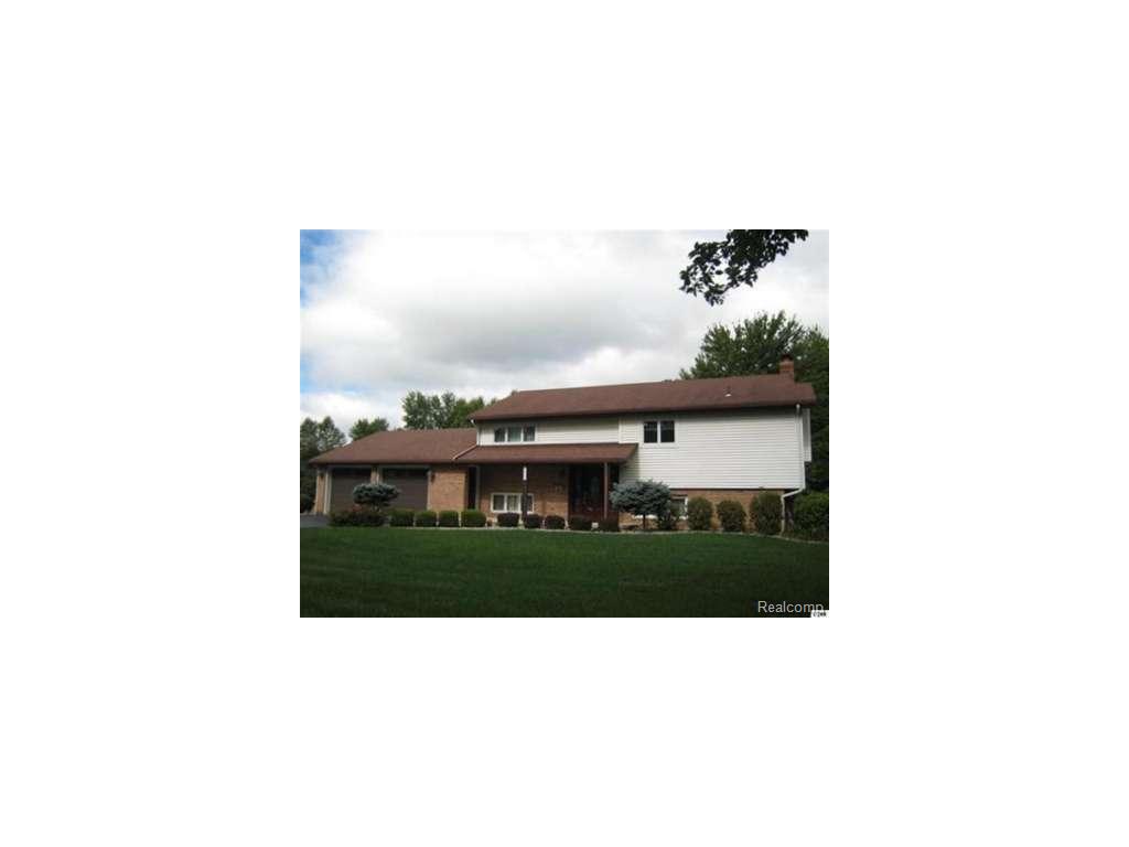 323 Park, Tecumseh, MI 49286 photo 1