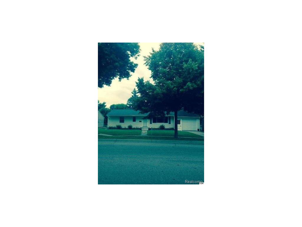 560 N Mckenzie St, Adrian, MI 49221 photo 1