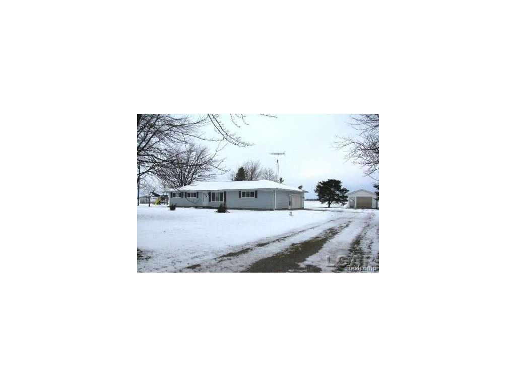 12650 E Monroe, Britton, MI 49229 photo 1
