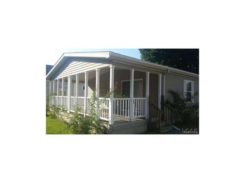 419 W Maple, Adrian, MI 49221 photo 1