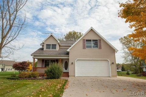 8201 Wadding, Onsted, MI 49265 photo 1