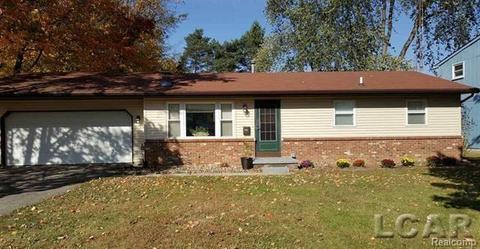 703 Conklin, Tecumseh, MI 49286 photo 1