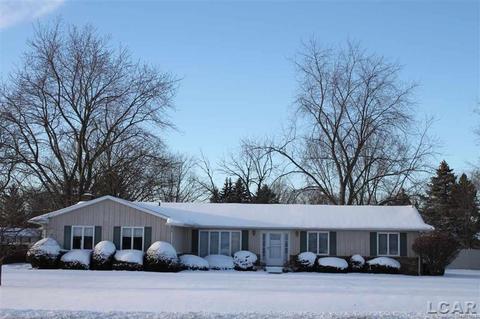 2896 Coach Lite, Tecumseh, MI 49286 photo 1