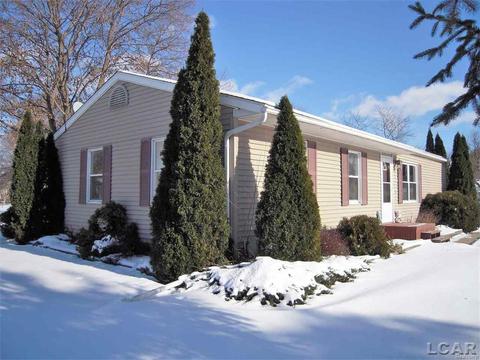 1201 Willow St, Tecumseh, MI 49286 photo 1