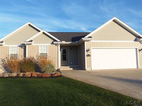 8139 Wadding Dr, Onsted, MI 49265 photo 1