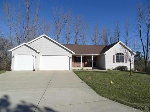 3198 Ives Rd, Tecumseh, MI 49286 photo 1