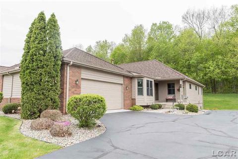 620 Richlyn, Adrian, MI 49221 photo 1