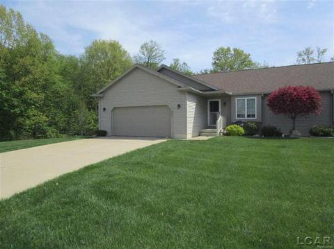 193 Trevor Trl, Onsted, MI 49265 photo 1