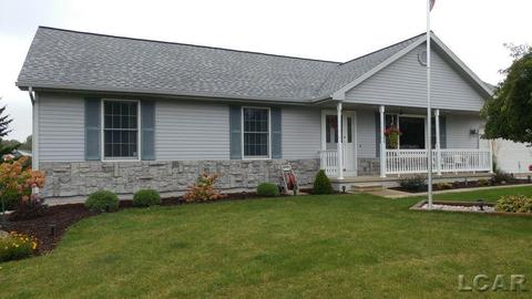 905 N Occidental Rd, Tecumseh, MI 49286 photo 1