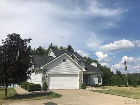 3232 Meadowbrook Ct, Tecumseh, MI 49286 photo 1