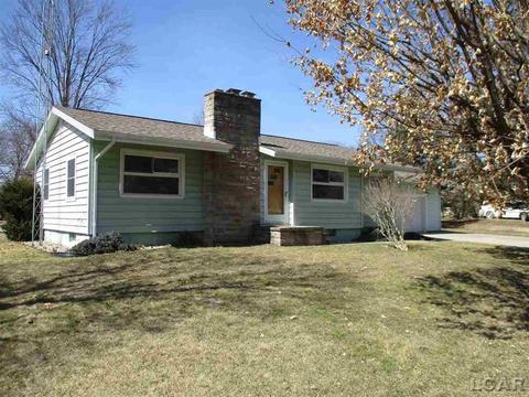 207 Park, Tecumseh, MI 49286 photo 1