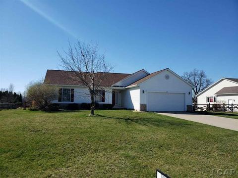 232 Joy, Adrian, MI 49221 photo 1