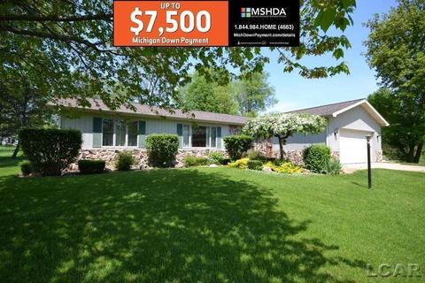 1244 Windsor Ct, Adrian, MI 49221 photo 1
