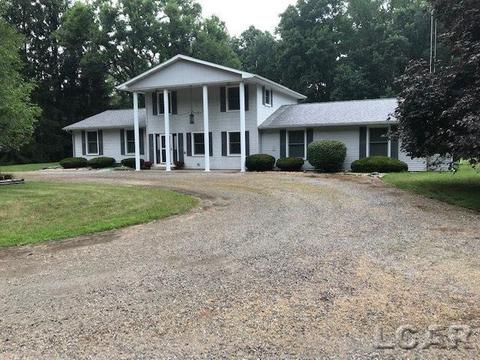 8400 Driggs, Blissfield, MI 49228 photo 1