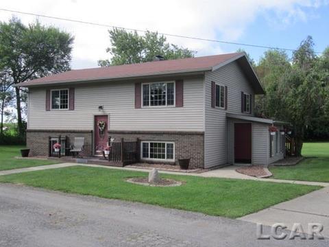 4520 Nye Raod, Hudson, MI 49247 photo 1