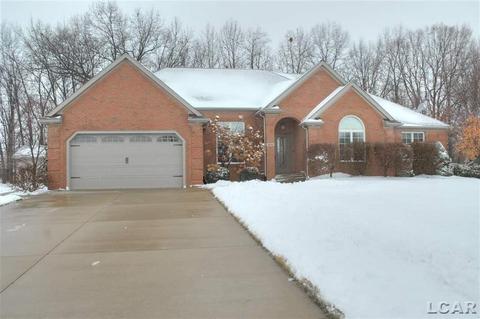 4606 Waynick Dr, Britton, MI 49229 photo 1