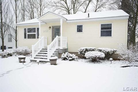 207 Burt St, Tecumseh, MI 49286 photo 1