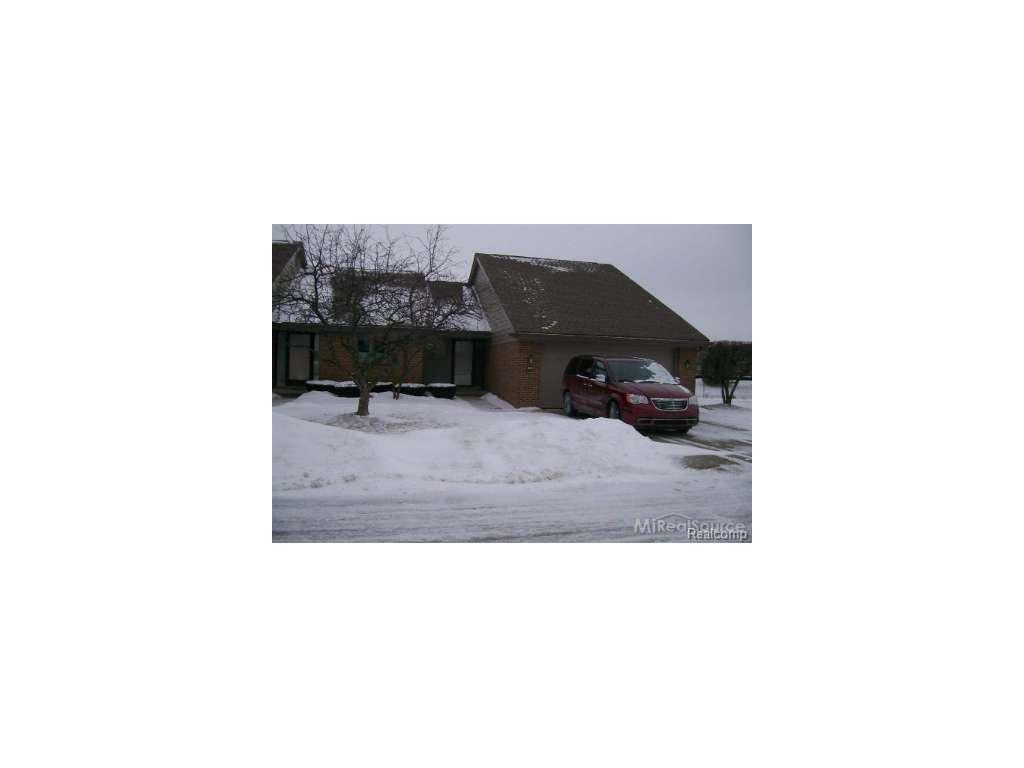 16151 Meadows Dr, Macomb, MI 48044 photo 1