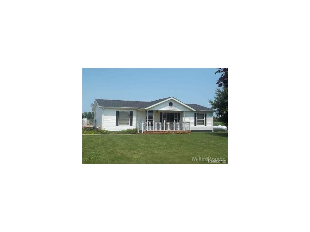 6175 Shabbona, Deckerville, MI 48427 photo 1