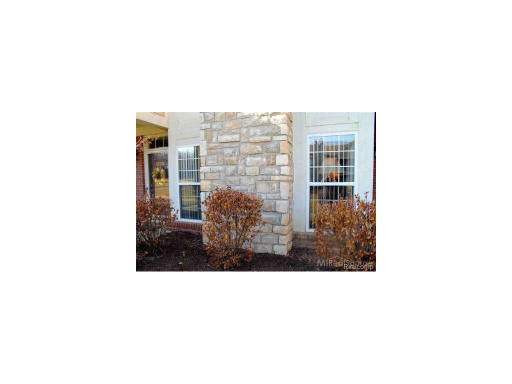 52084 Naugatuck, Macomb, MI 48042 photo 1