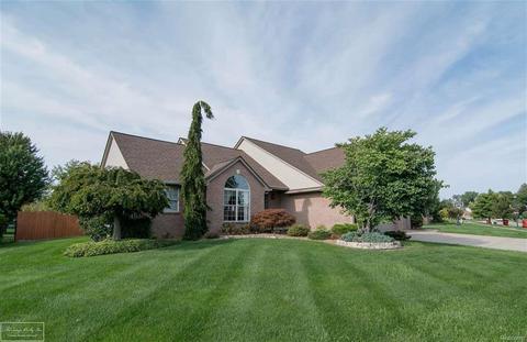 22525 Rambling Dr, Macomb, MI 48044 photo 1