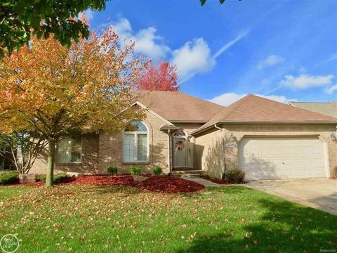 49295 Briar Pointe, Macomb, MI 48044 photo 1