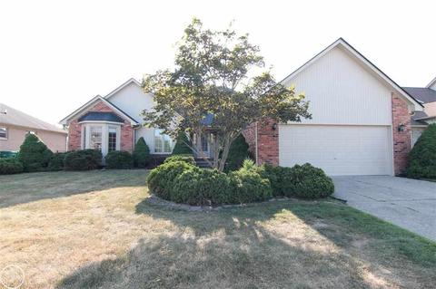 47943 Daisy, Macomb, MI 48044 photo 1