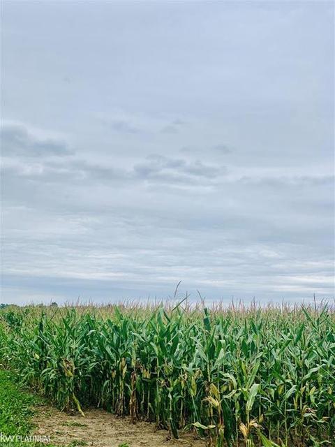 6242 Hewitt Rd, Jeddo, MI 48032 photo 1