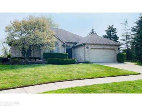 49010 Briar Pointe Dr, Macomb, MI 48044 photo 1