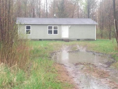 5839 Dopp, Shepherd, MI 48883 photo 1