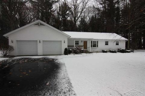 16097 Dice, Hemlock, MI 48626 photo 1