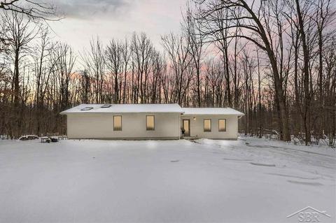1833 Ann, Burt, MI 48417 photo 1