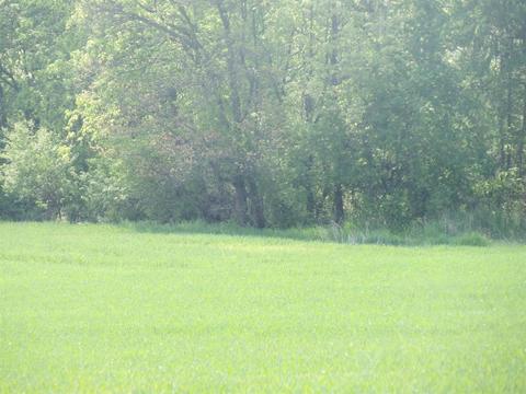 2000 Block N Bunn Rd, Hillsdale, MI 49242