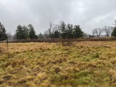Dog Leg Drive, Bronson, MI 49028