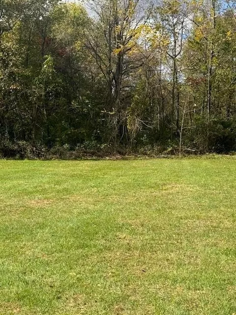 Dons Drive, Coldwater, MI 49036