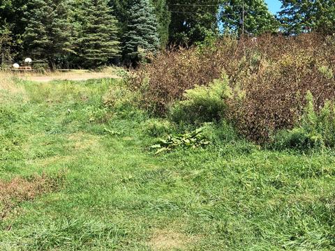 4802 E Pratt Rd, Saint Johns, MI 48879 photo 1