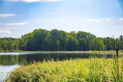3260 S Tuttle Rd, Custer, MI 49405 photo 1