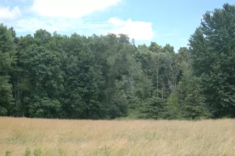552 Mt Tabor, Oronoko, MI 49107 photo 1