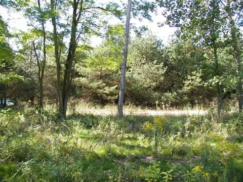 77352 Le Lac Dr, Covert, MI 49043 photo 1