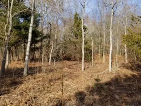 28 Th Ave, Covert, MI 49043 photo 1
