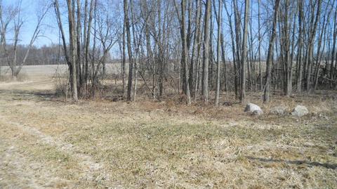 17567 Hawks St, Cassopolis, MI 49031 photo 1