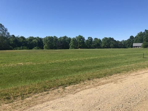 14299 Deer Path, Buchanan, MI 49107 photo 1