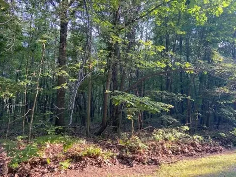 lot A Nadeau Dr, Lee, MI 49450 photo 1