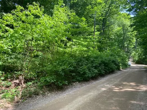 Vl Ramblewood Drive, Covert, MI 49043