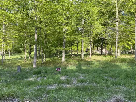8787 Lakewood Trail Unit Trl #2, Berrien, MI 49102