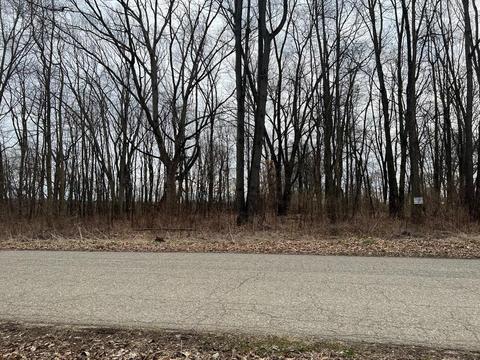 North Shore Drive, Edwardsburg, MI 49112