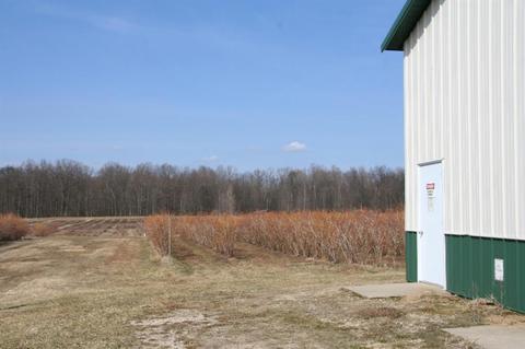 V/l Co Rd 380, Grand Junction, MI 49056