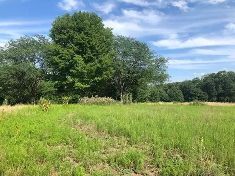 West River Road, Bertrand, MI 49120