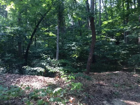 dunewood drive unit: LOT 21, Bridgman, MI 49106